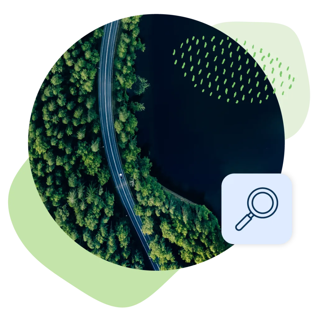 An illustration with a photo of a green forest, road, and icon of a magnifying glass.